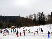 Practice area next to the toboggan run