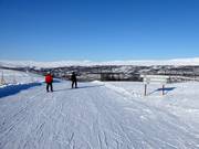 Slope No. 36 Pelikanen