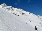 Challenging deep-snow areas below the Seegrube