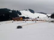 Conveyor belts for beginners