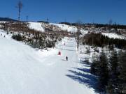 Easy slopes dominate in the lower part of the ski resort