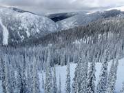 View over the forest runs (Gladed Runs)