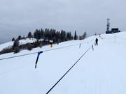 Surface Tow - Rope tow/baby lift with low rope tow