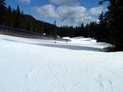 Easy slope Flower Basin