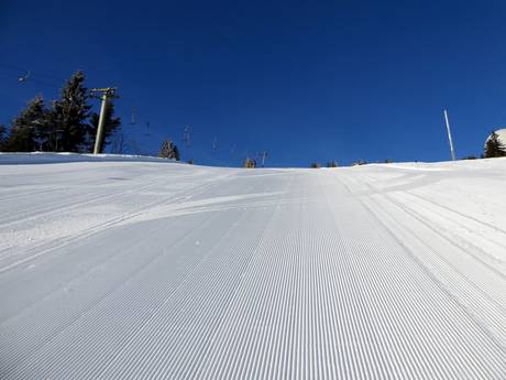 Slope preparation Bavaria (Bayern) – Slope preparation Arber