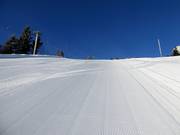 Very good slope grooming at Arber