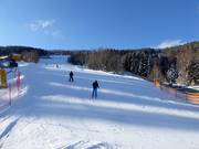 Marienseer Run No. 9