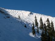 Steep mogul slopes in the Pallavicini Bowl