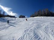 Burgstallalm descent on the Planai