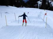 Wave run in Ochsengarten