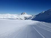 Tracks in the snow with a panoramic view of the Rettenstein