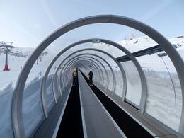 Alfombra Doble Dauro