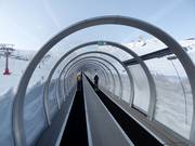 Alfombra Doble Dauro - People mover/Moving Carpet with cover