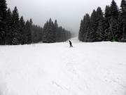 Intermediate slope at the drag lift