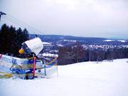 A propeller machine and a lance provide snow