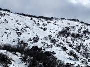 Challenging slopes at the North Perisher T-Bar