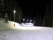 Night skiing