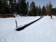 Blåmesen - People mover/Moving Carpet