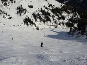 Slope No. 52 Kandahar-Galzig