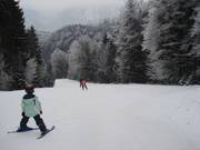 Upper part of the piste