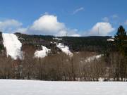View of the forest clearing runs with radio tower