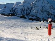 Ungroomed slope Droset