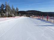 Very good slope grooming at Arber