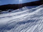 You can often find powder tracks right next to the slopes.