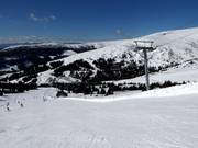 View from the Almrausch slope