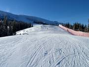 View of the Chopok summit