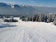 Downhill Torlaufstrecke