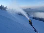 Comprehensive snowmaking at Arber