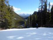 Forest run on Mt. Norquay with panoramic view