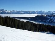 Grasgehren above the clouds