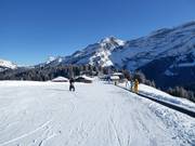 Practice slope Les Mazots (Les Diablerets)