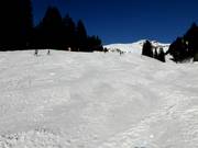 Valley run Hasliberg-Reuti