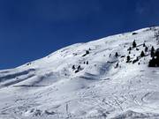 Powder slopes all the way down to the village of Vent