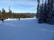 Slope Långbacken in Hundfjället