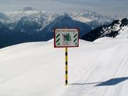 Environmentally oriented education