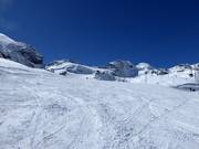 Wide and easy slope Egginer