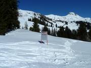 Animal protection areas are restricted for skiers