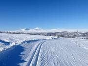 Trail in Ramundberget