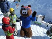 Mascot Noah, the little brown bear