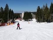 Practice slope Rotata