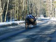 You can take a carriage to the valley station.