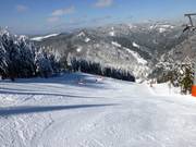 FIS World Cup downhill