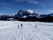 Alpe di Siusi (Seiser Alm) family ski resort