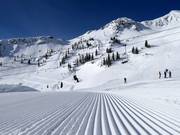 Very good slope grooming in Snowbird