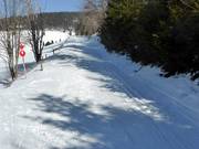 At the Kapellenlift, the cross-country trail runs alongside the ski route.