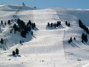 Salober run in Schröcken